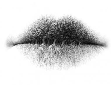 Εσείς τι βλέπετε σε αυτή τη φωτό; - Τι φανερώνει για την προσωπικότητά σας η απάντησή σας